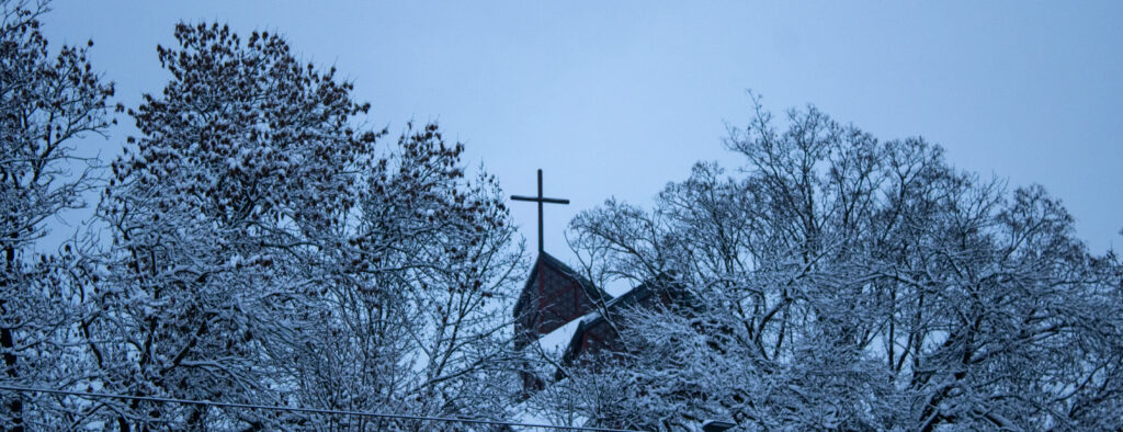 fotografia krzyża pomiędzy drzewami