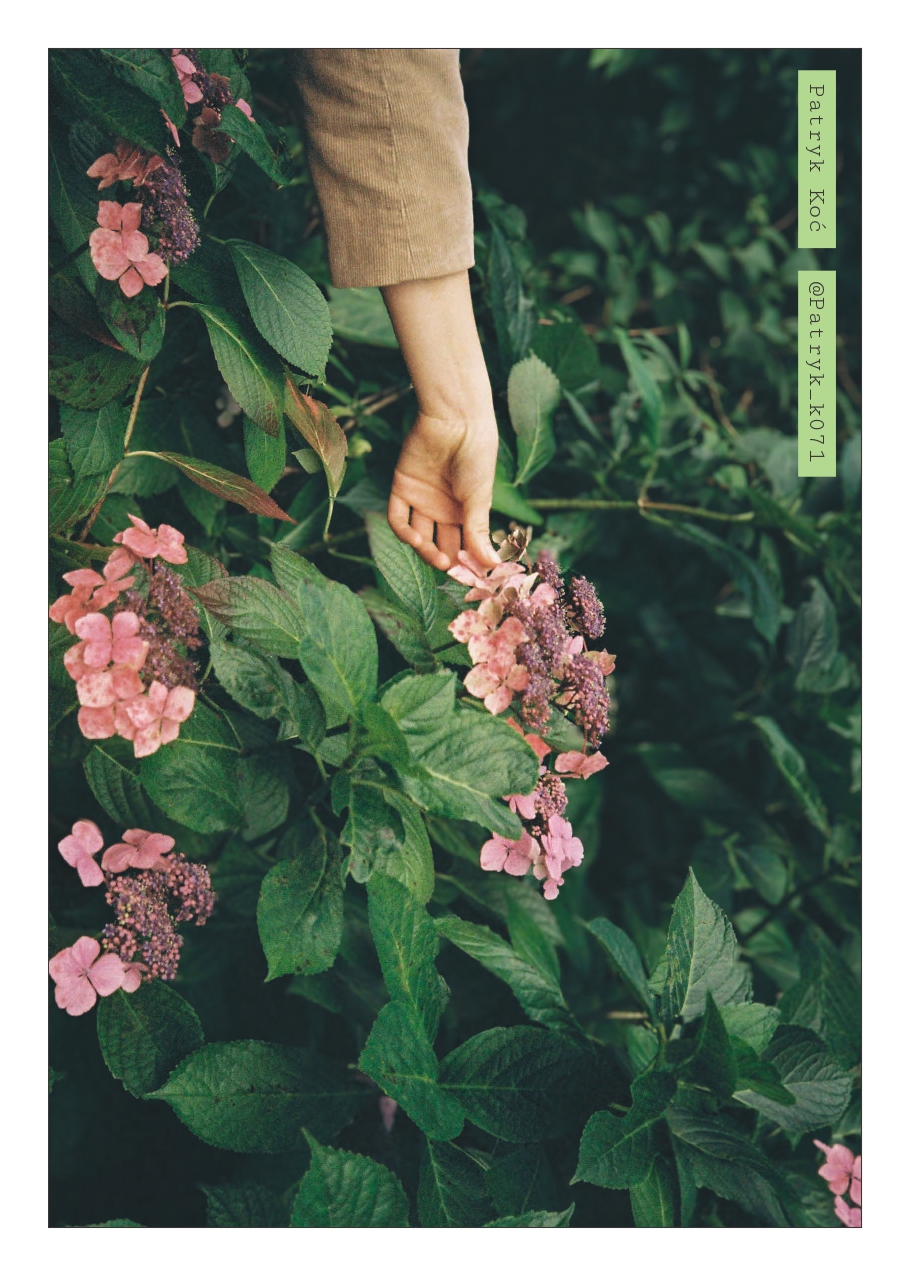 ZIN 01 — strona 3