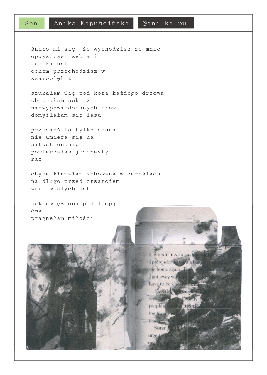 ZIN 01 — strona 4