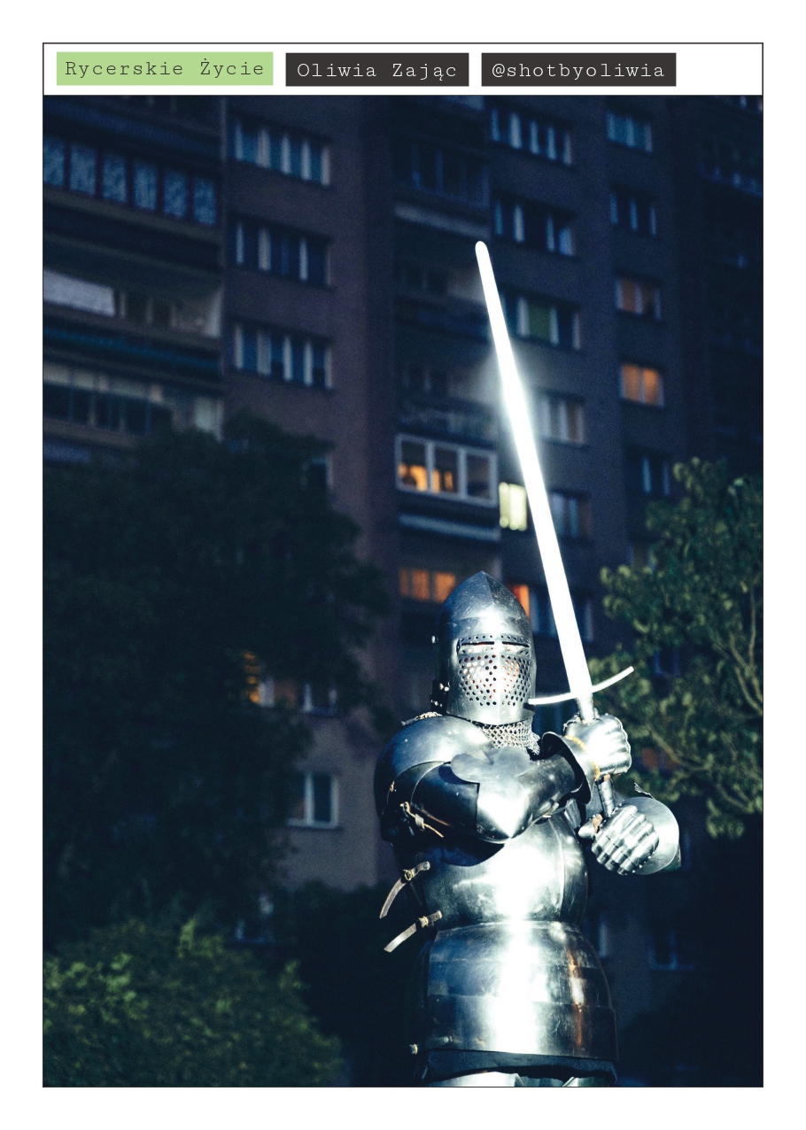 ZIN 01 — strona 6