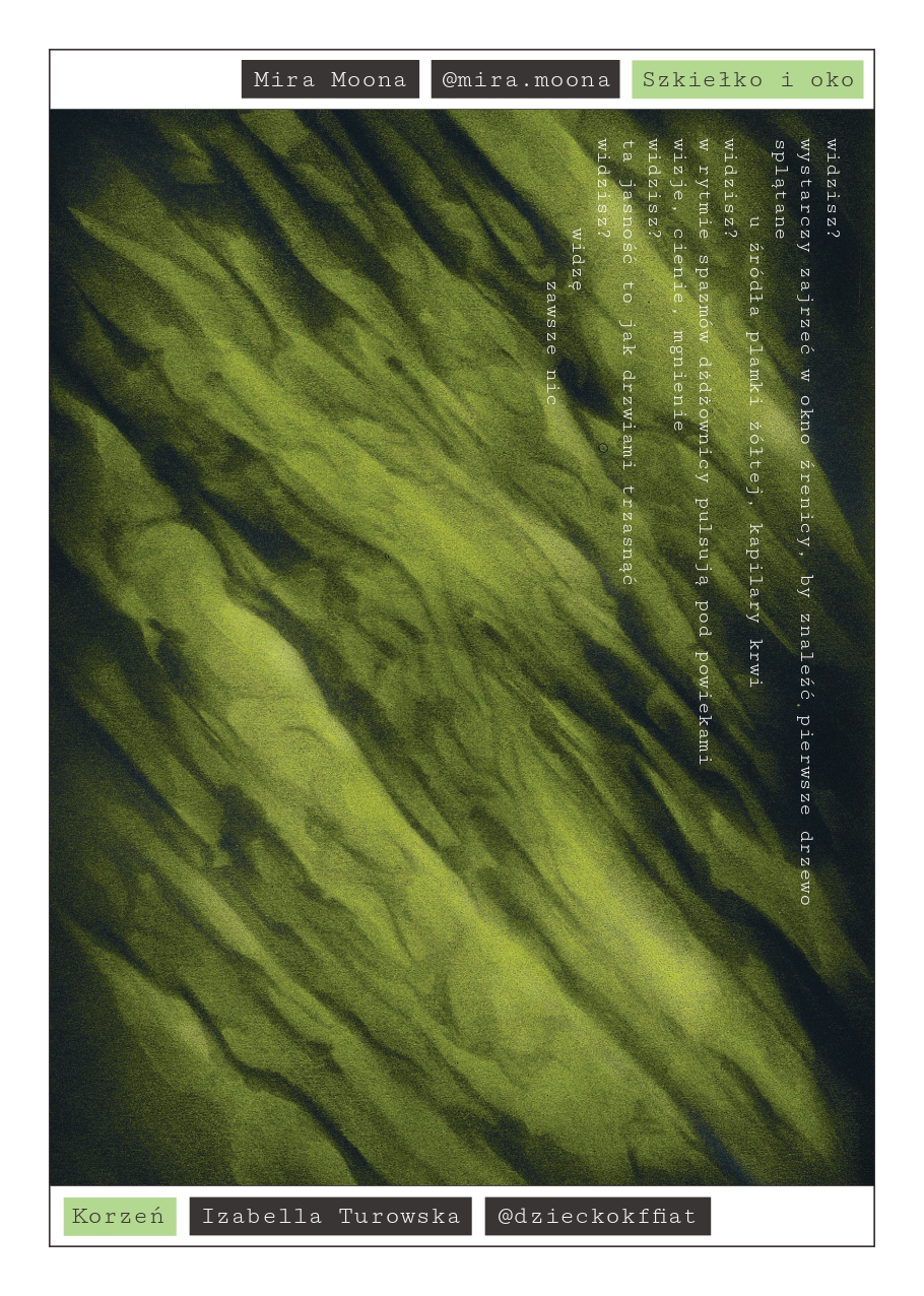ZIN 01 — strona 12