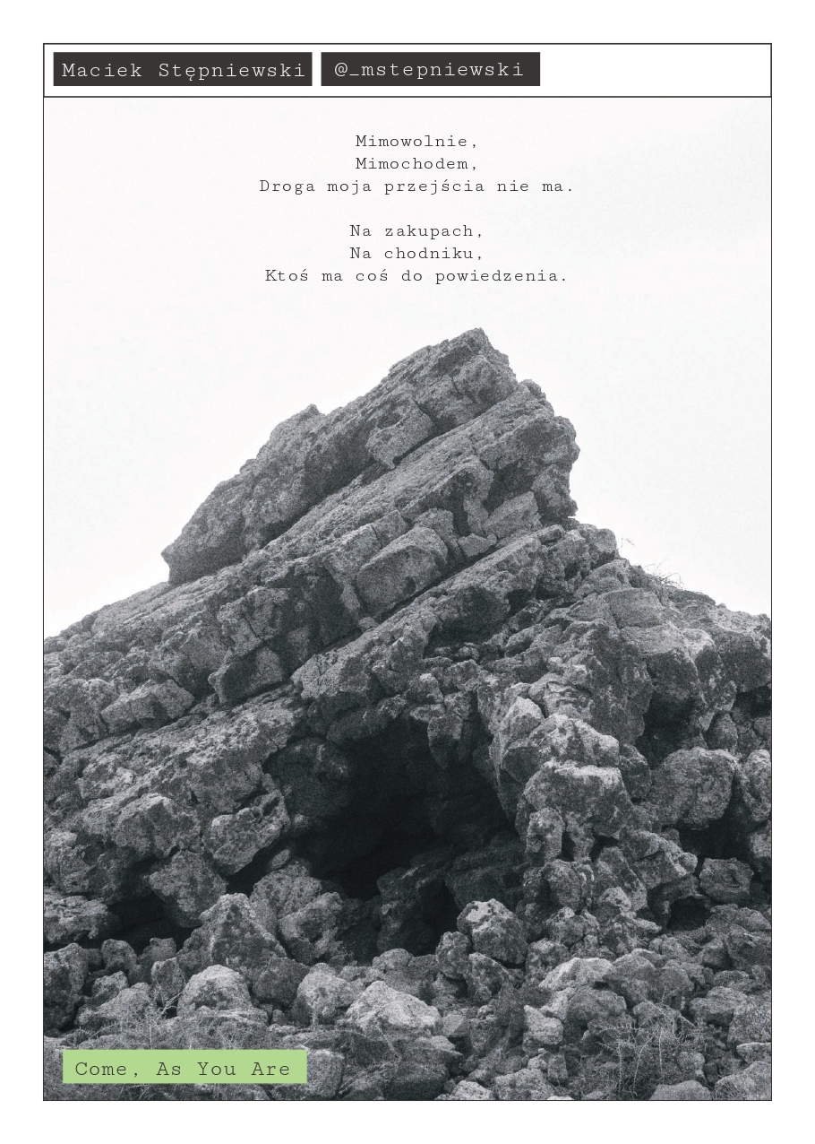 ZIN 01 — strona 18