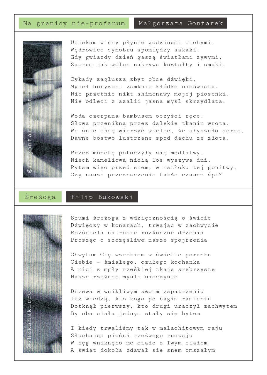 ZIN 01 — strona 20