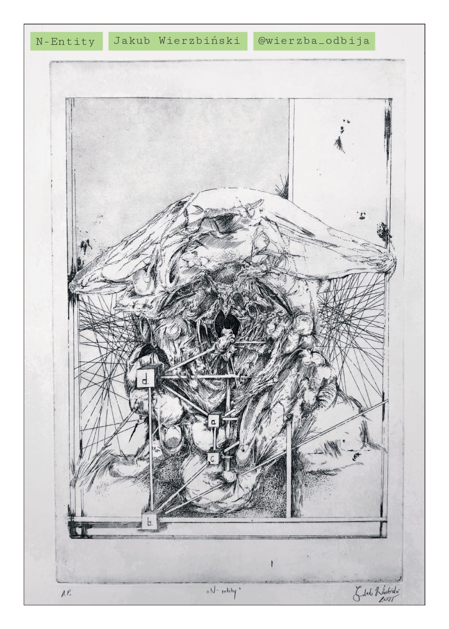 ZIN 01 — strona 21