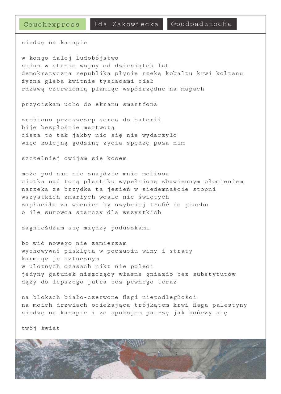 ZIN 01 — strona 33